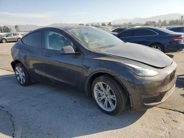 2024 TESLA MODEL Y 7SAYGDEE3RA256741