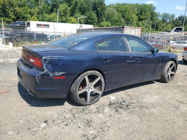 2013 DODGE CHARGER PO - 2C3CDXAT7DH546741