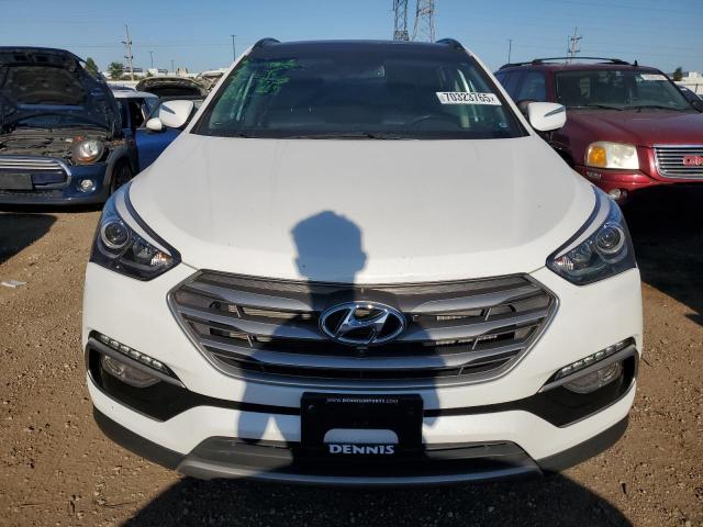 2017 HYUNDAI SANTA FE S - 5NMZWDLA8HH041523
