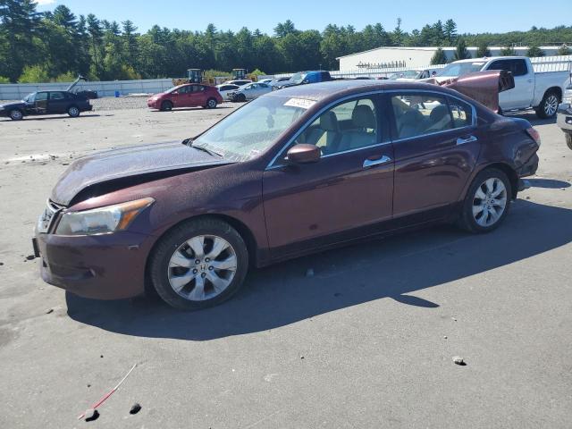 2010 HONDA ACCORD EXL - 5KBCP3F86AB017011