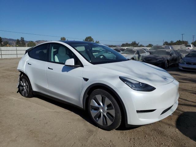 2021 TESLA MODEL Y 5YJYGAEE7MF256300