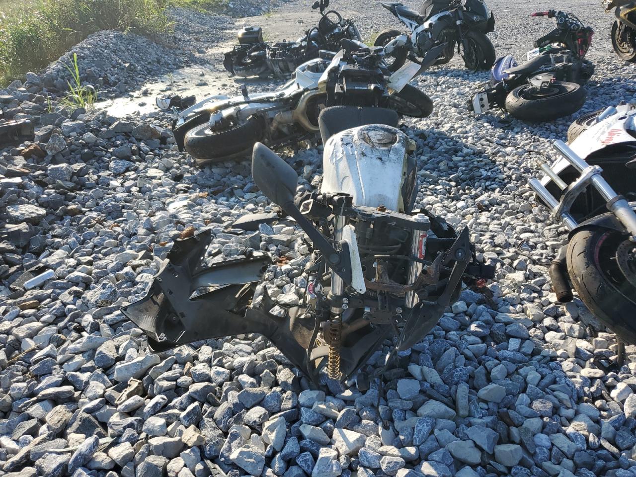 Lot #3240082485 2016 YAMAHA YZFR3