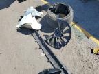 Lot #3304226940 2023 TESLA MODEL Y