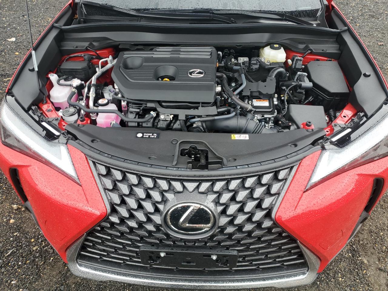 LEXUS UX 300H BASE