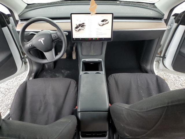 2023 TESLA MODEL Y 7SAYGDEE9PF710894