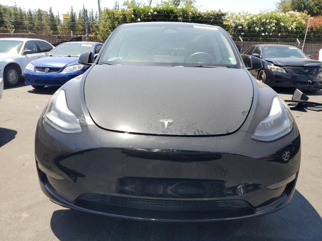2023 TESLA MODEL Y 7SAYGDEF7PF761853