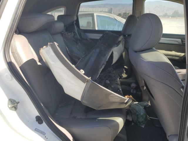 2010 HONDA CR-V EXL - 5J6RE3H76AL005161