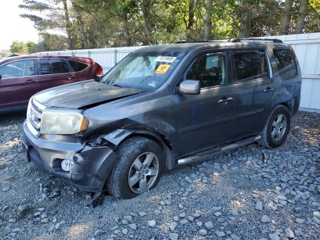 HONDA PILOT