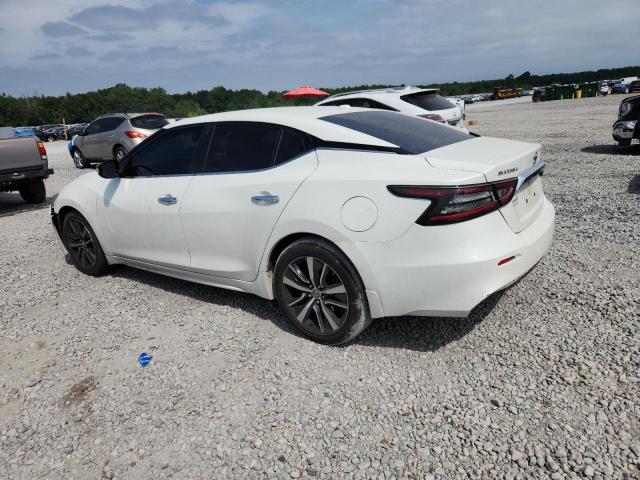 2019 NISSAN MAXIMA S 1N4AA6AV1KC366457