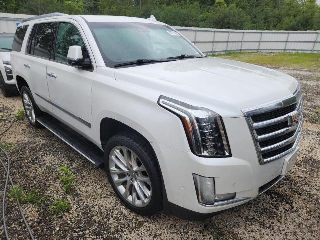2019 CADILLAC ESCALADE P 1GYS4CKJ2KR129953