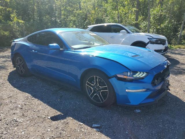 2019 FORD MUSTANG 1FA6P8TH9K5175977
