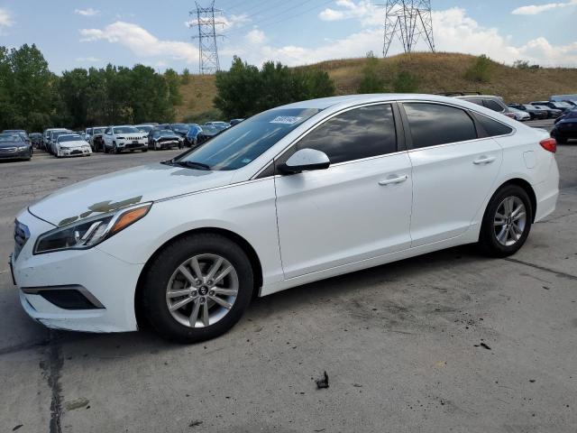 2016 HYUNDAI SONATA SE - 5NPE24AF5GH376376