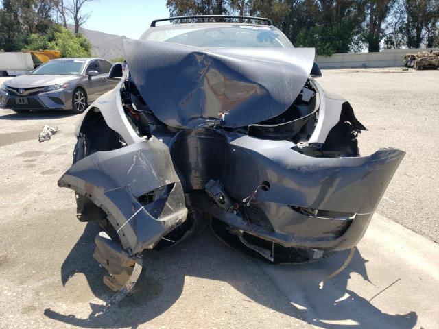 2024 TESLA MODEL Y 7SAYGDEE1RF123687