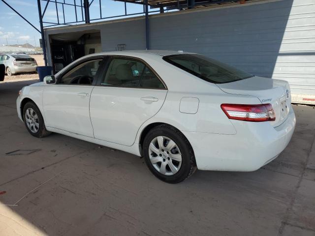 2011 TOYOTA CAMRY BASE - JTNBF3EK5B3011253
