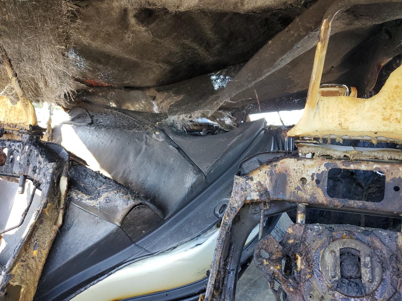 Global Auto Auctions