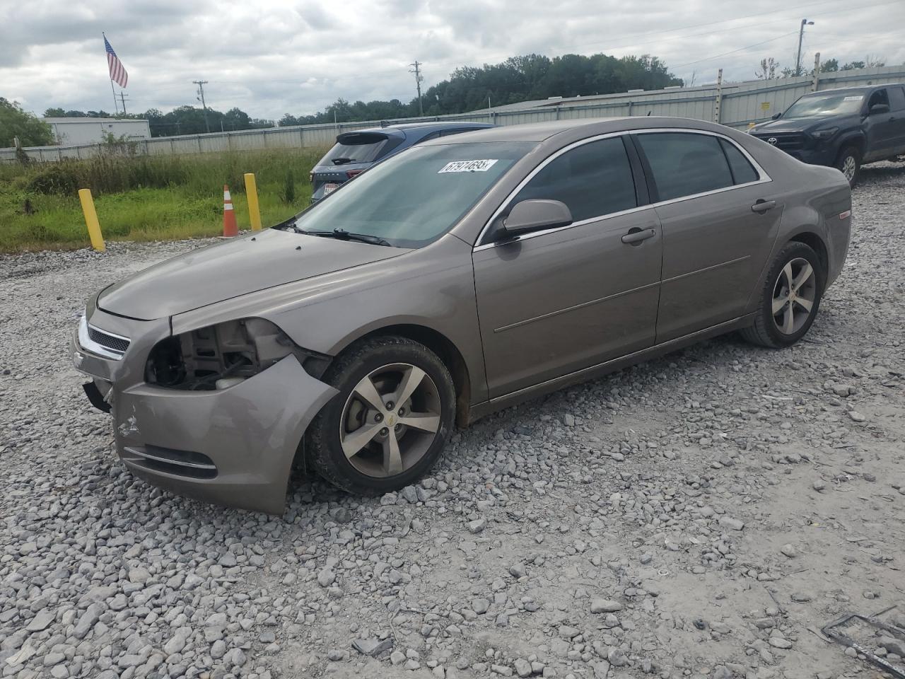 CHEVROLET MALIBU 1LT