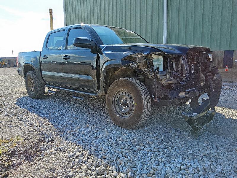 2023 TOYOTA TACOMA DOU 3TYCZ5AN0PT174463