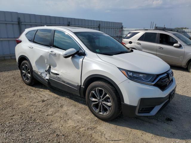 2020 HONDA CR-V EX 5J6RW2H54LA010623