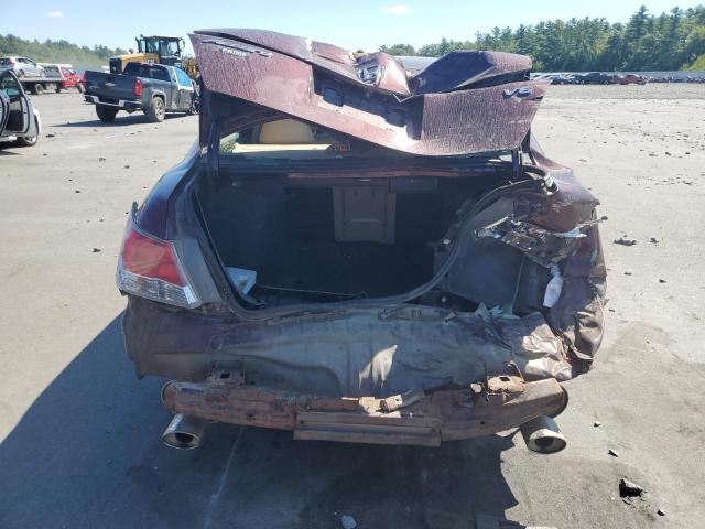 2010 HONDA ACCORD EXL - 5KBCP3F86AB017011