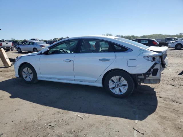2019 HYUNDAI SONATA HYB KMHE24L36KA093743