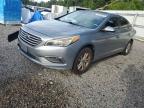2015 HYUNDAI SONATA SE - 5NPE24AF2FH107539