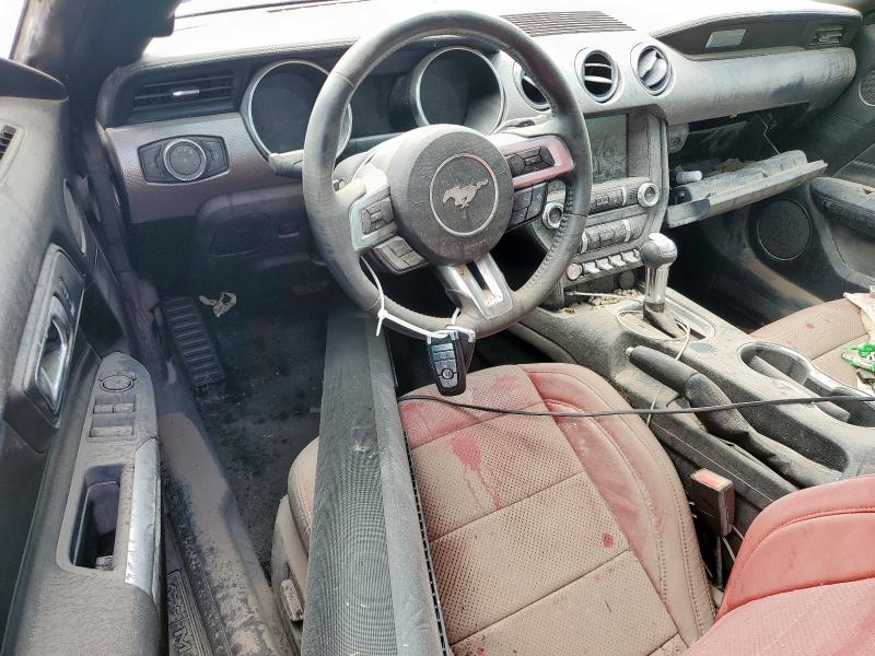 2019 FORD MUSTANG - 1FATP8UH0K5130458