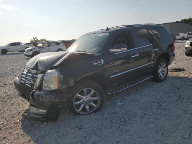 2010 CADILLAC ESCALADE - 1GYUKAEF7AR224288