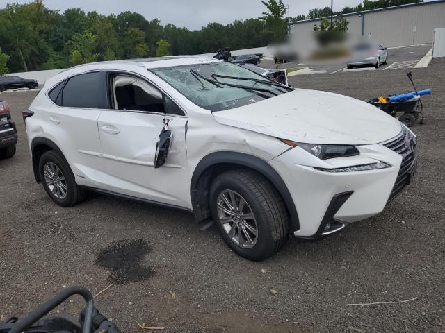 2021 LEXUS NX 300H BA JTJDJRDZ5M5014235