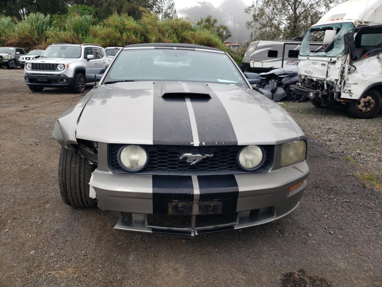 Lot #3262927882 2009 FORD MUSTANG GT