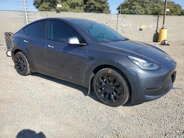2021 TESLA MODEL Y 5YJYGDEE5MF213382