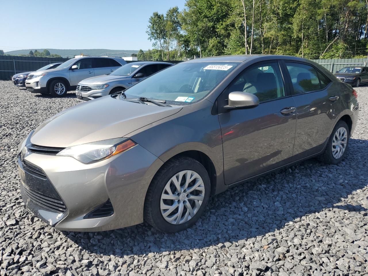 TOYOTA COROLLA L