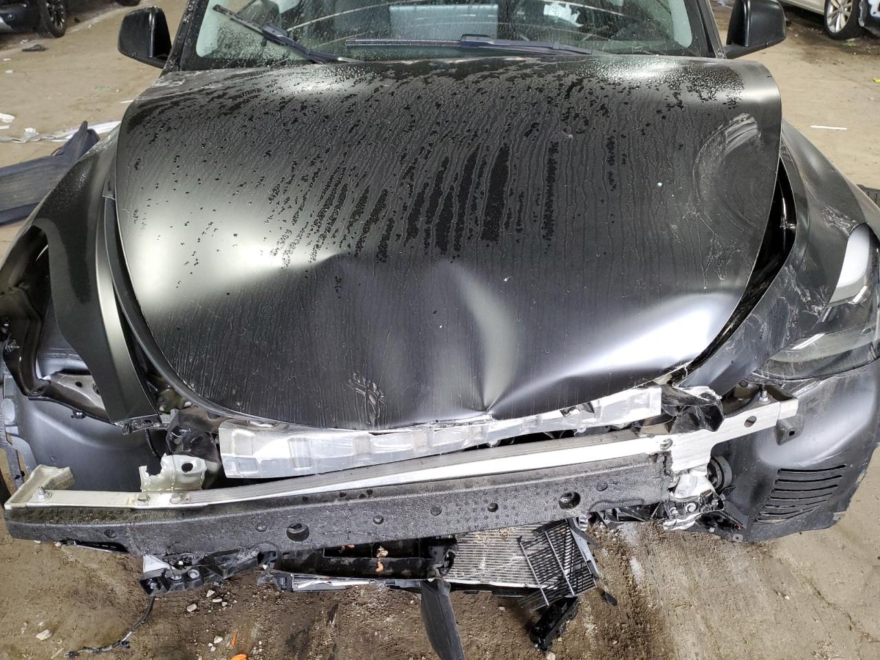 Lot #3311755733 2023 TESLA MODEL Y