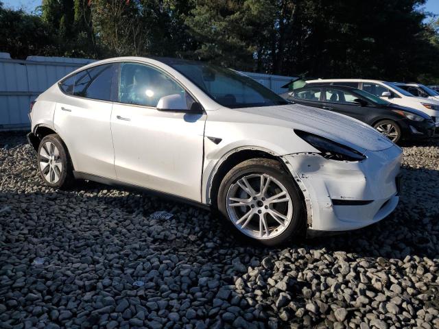 2022 TESLA MODEL Y 7SAYGDEEXNF549646