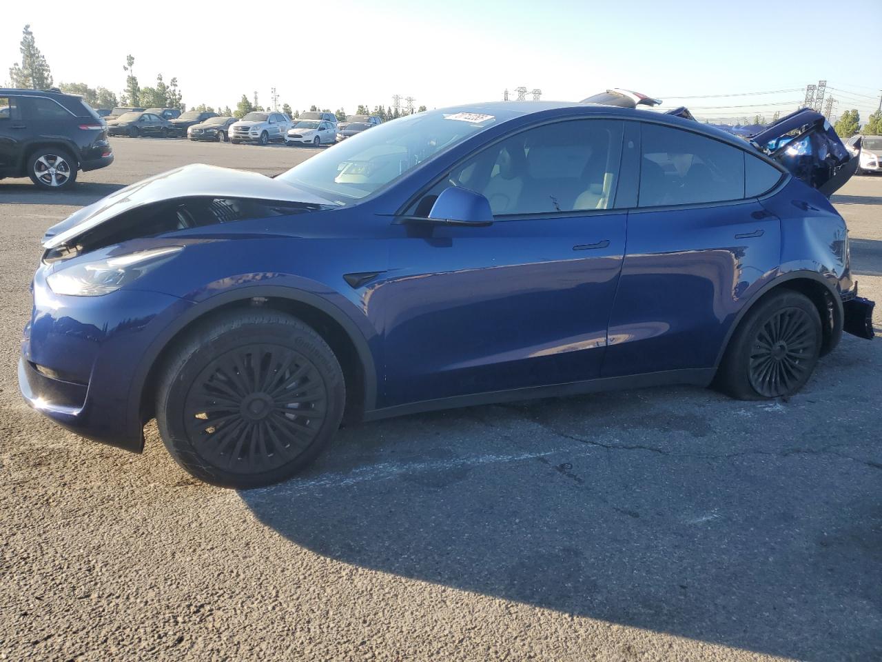 TESLA MODEL Y
