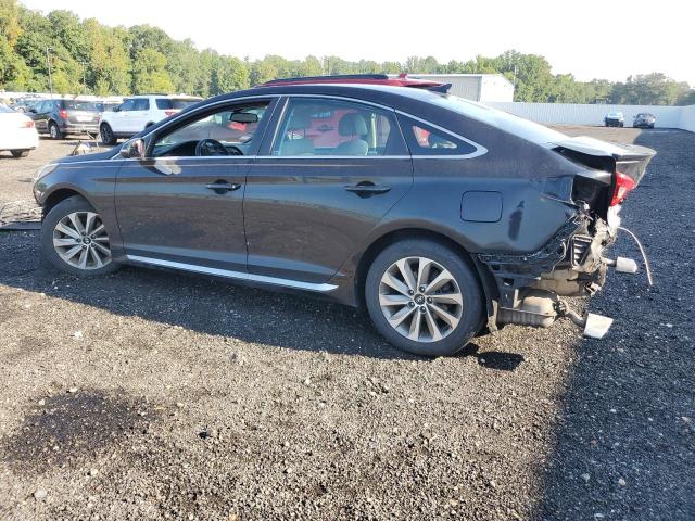 2016 HYUNDAI SONATA SPO 5NPE34AF7GH330674