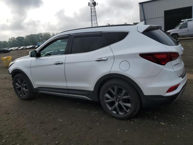 2017 HYUNDAI SANTA FE S 5XYZWDLA1HG502619