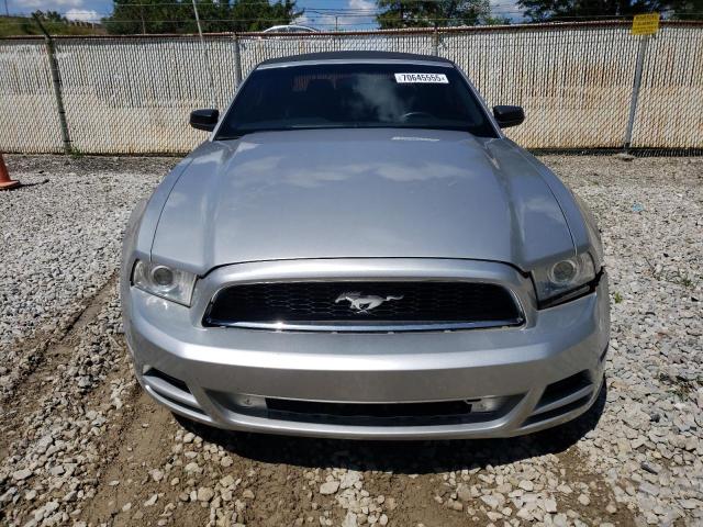 2013 FORD MUSTANG - 1ZVBP8EM8D5242197