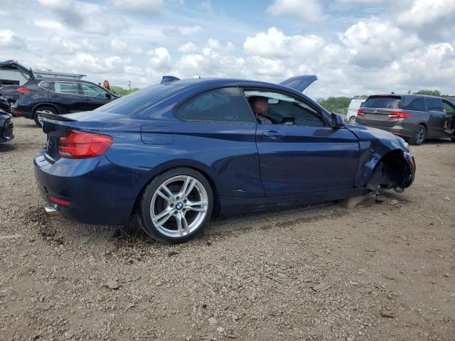 2015 BMW 228 XI SUL WBA1G9C50FVX96463
