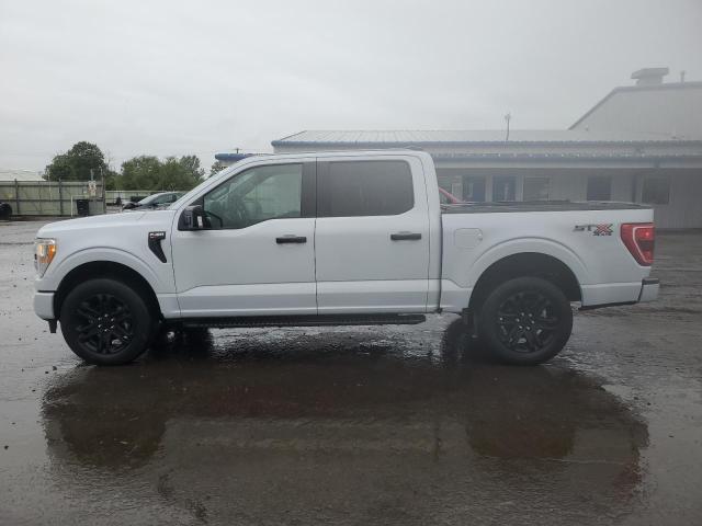 2021 FORD F150 SUPERCREW 1FTEW1EP8MKD10987