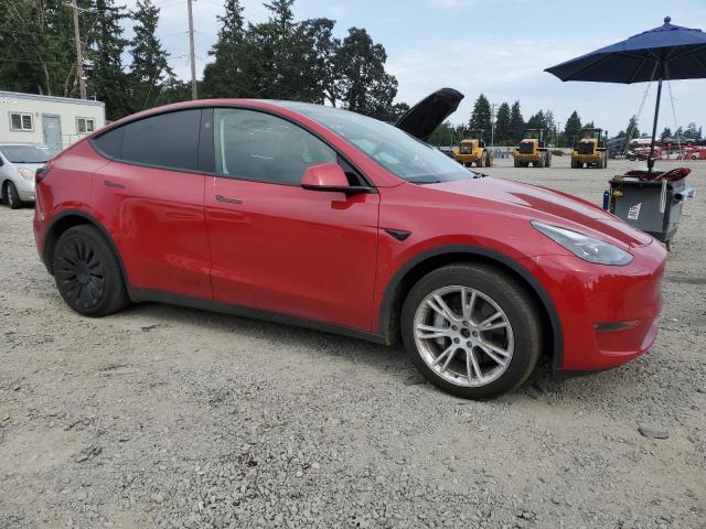 2023 TESLA MODEL Y 7SAYGDEE0PF824122