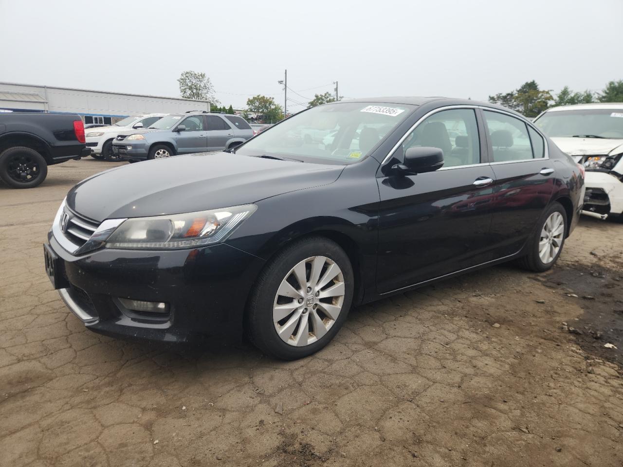 HONDA ACCORD EXL