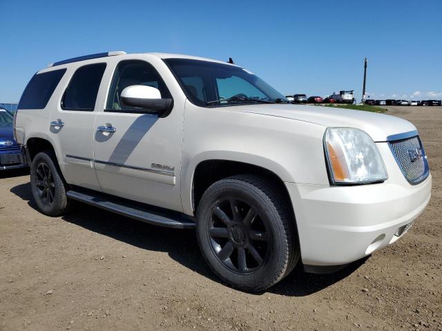 2011 GMC YUKON DENA - 1GKS2EEF0BR250743