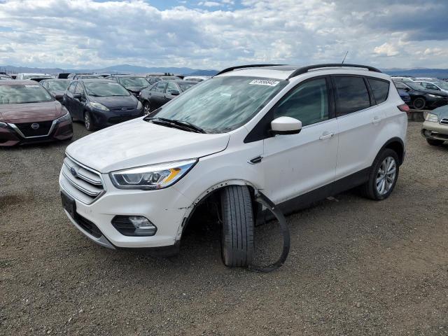 Global Auto Auctions: 2019 FORD ESCAPE SEL