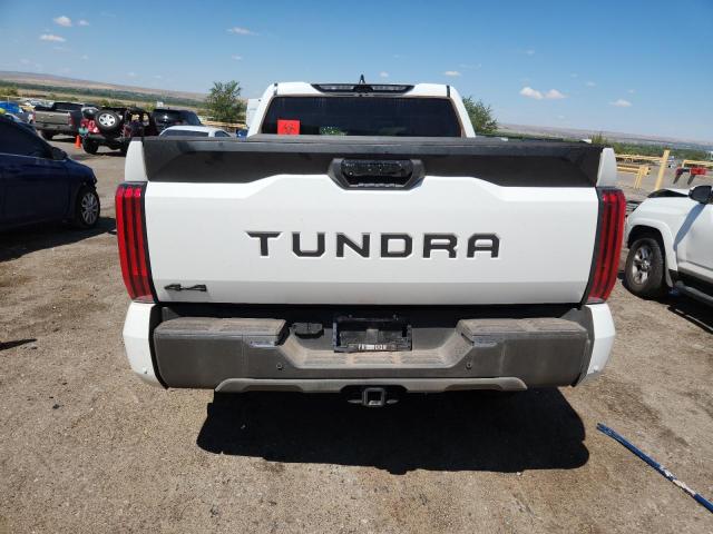 2025 TOYOTA TUNDRA CRE 5TFLA5DB9SX315019