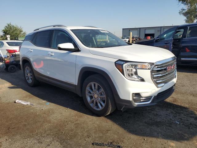 2024 GMC TERRAIN SLT 3GKALVEG7RL313050