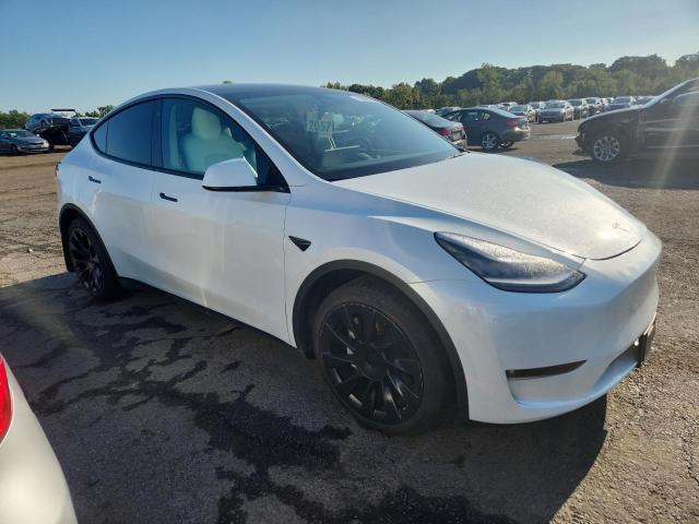 2021 TESLA MODEL Y 5YJYGDEE3MF243156