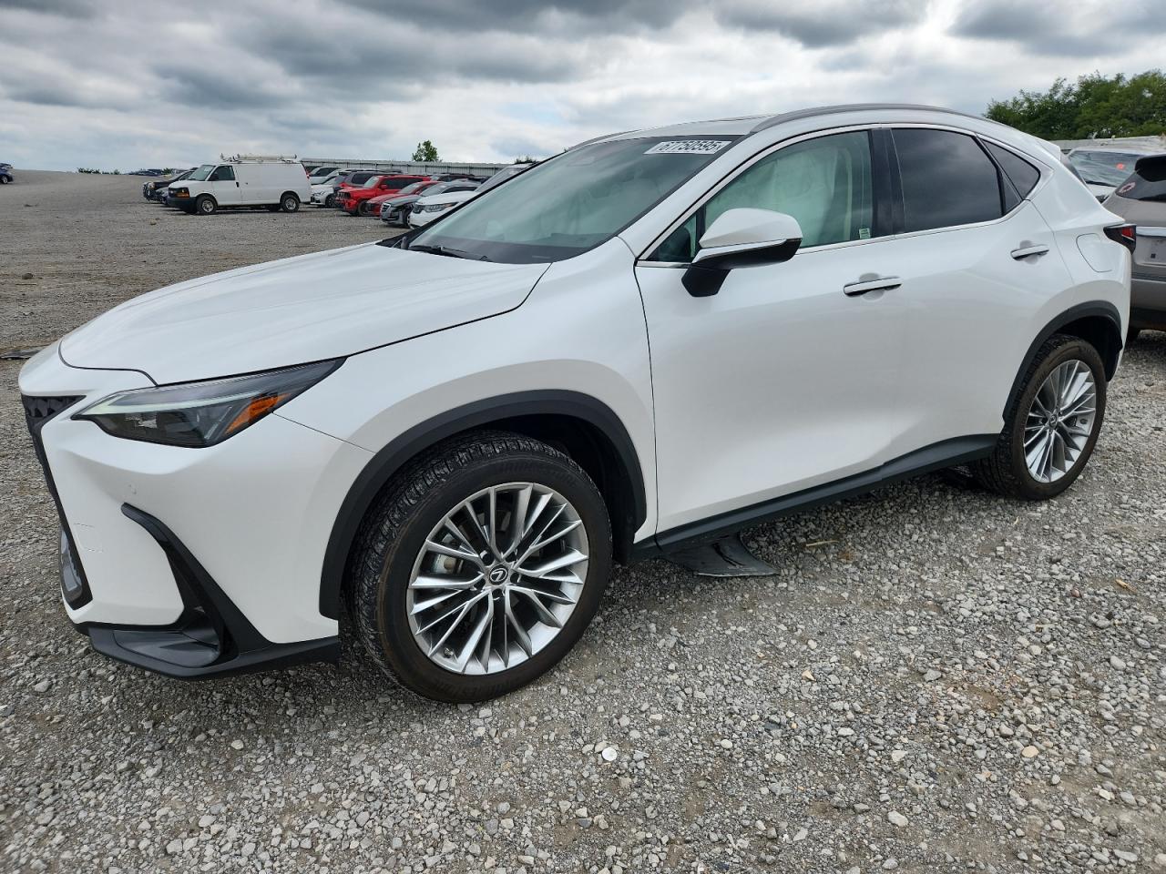 LEXUS NX 350