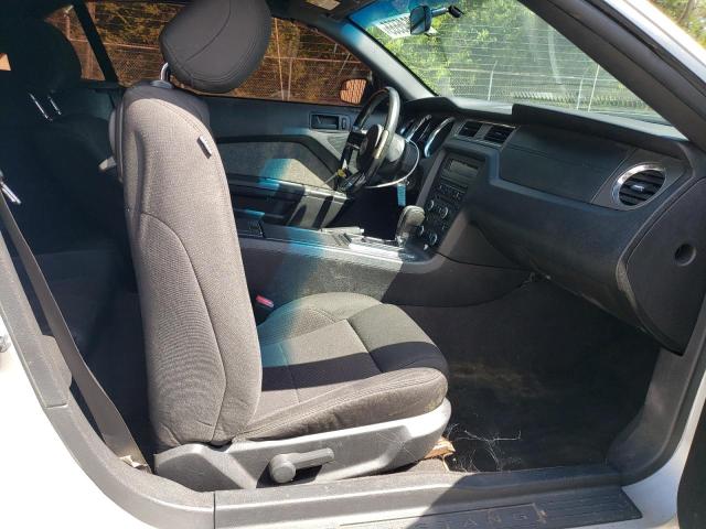 2013 FORD MUSTANG - 1ZVBP8EM8D5242197
