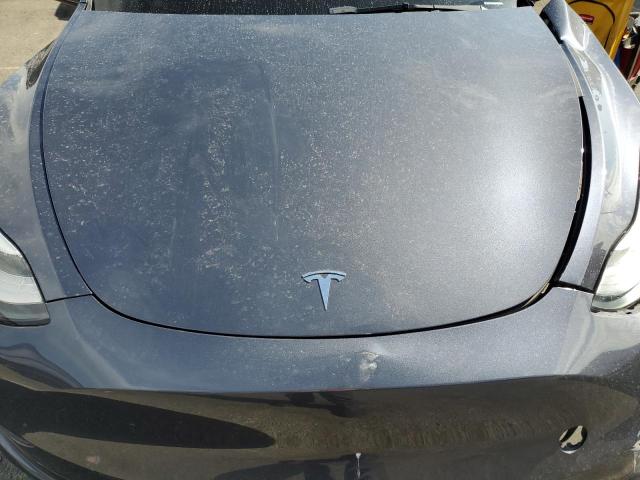 2023 TESLA MODEL Y 7SAYGDEEXPA128266
