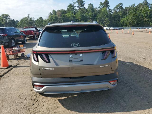 2025 HYUNDAI TUCSON SEL CONVENIENCE KM8JCDD11SU346488